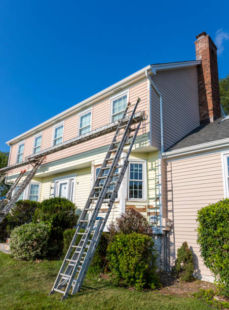 Best Attic Cleanout  in Buena Vista, MI